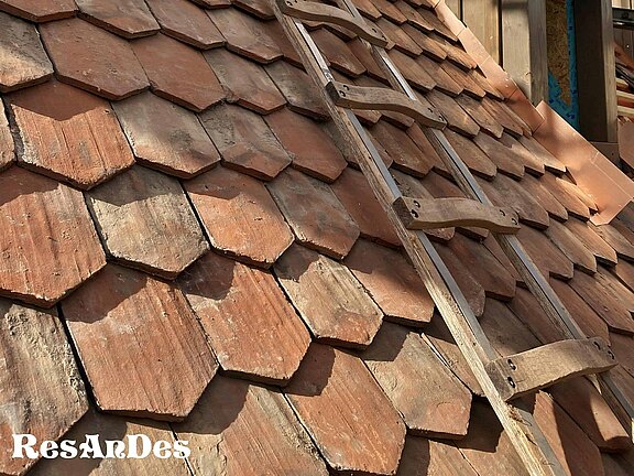 Alte Spitzbiber Dachziegel